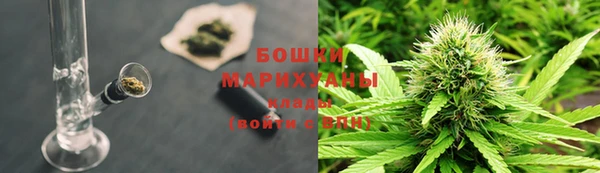 молекула духа Нязепетровск