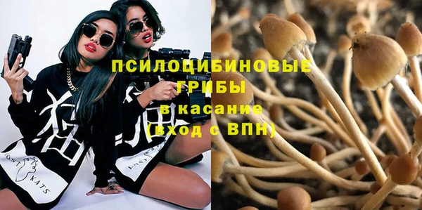 молекула духа Нязепетровск