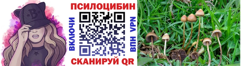Галлюциногенные грибы мицелий  купить  сайты  Лабинск 