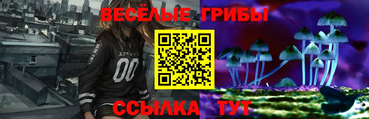 Псилоцибиновые грибы Psilocybe  Вход с VPN  Лабинск  Псилоцибиновые грибы Magic Shrooms 